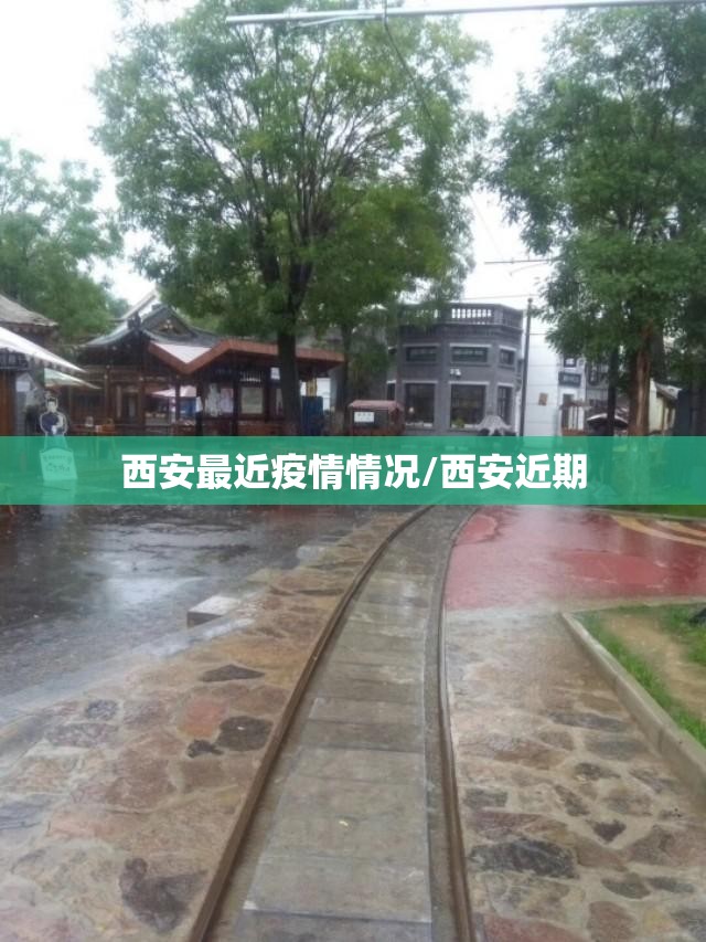 西安最近疫情情况/西安近期