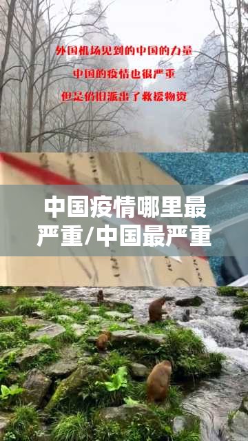 中国疫情哪里最严重/中国最严重的疫情 中国疫情哪里最严重/中国最严重的疫情