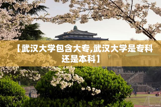 【武汉大学包含大专,武汉大学是专科还是本科】