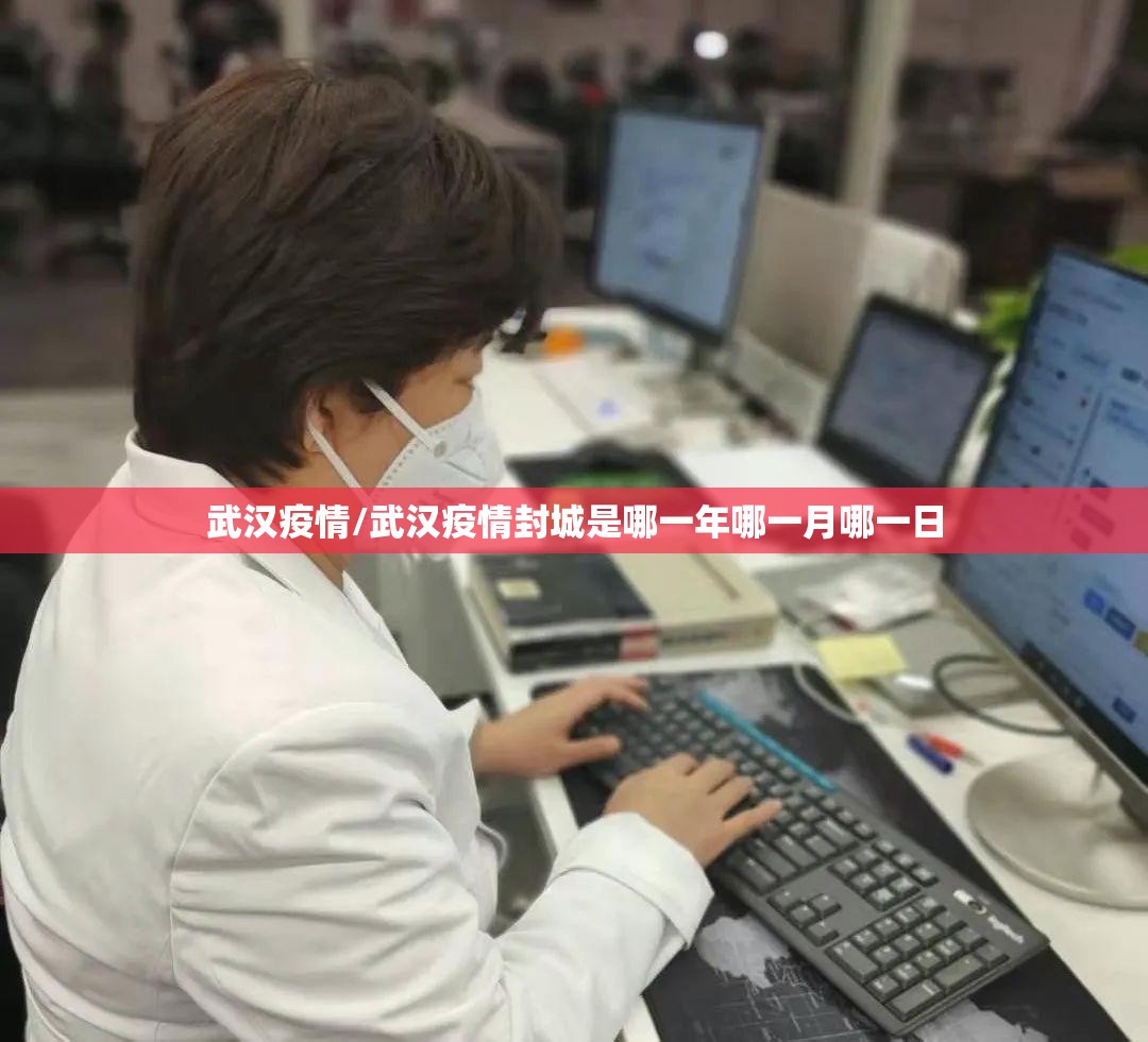 武汉疫情/武汉疫情封城是哪一年哪一月哪一日