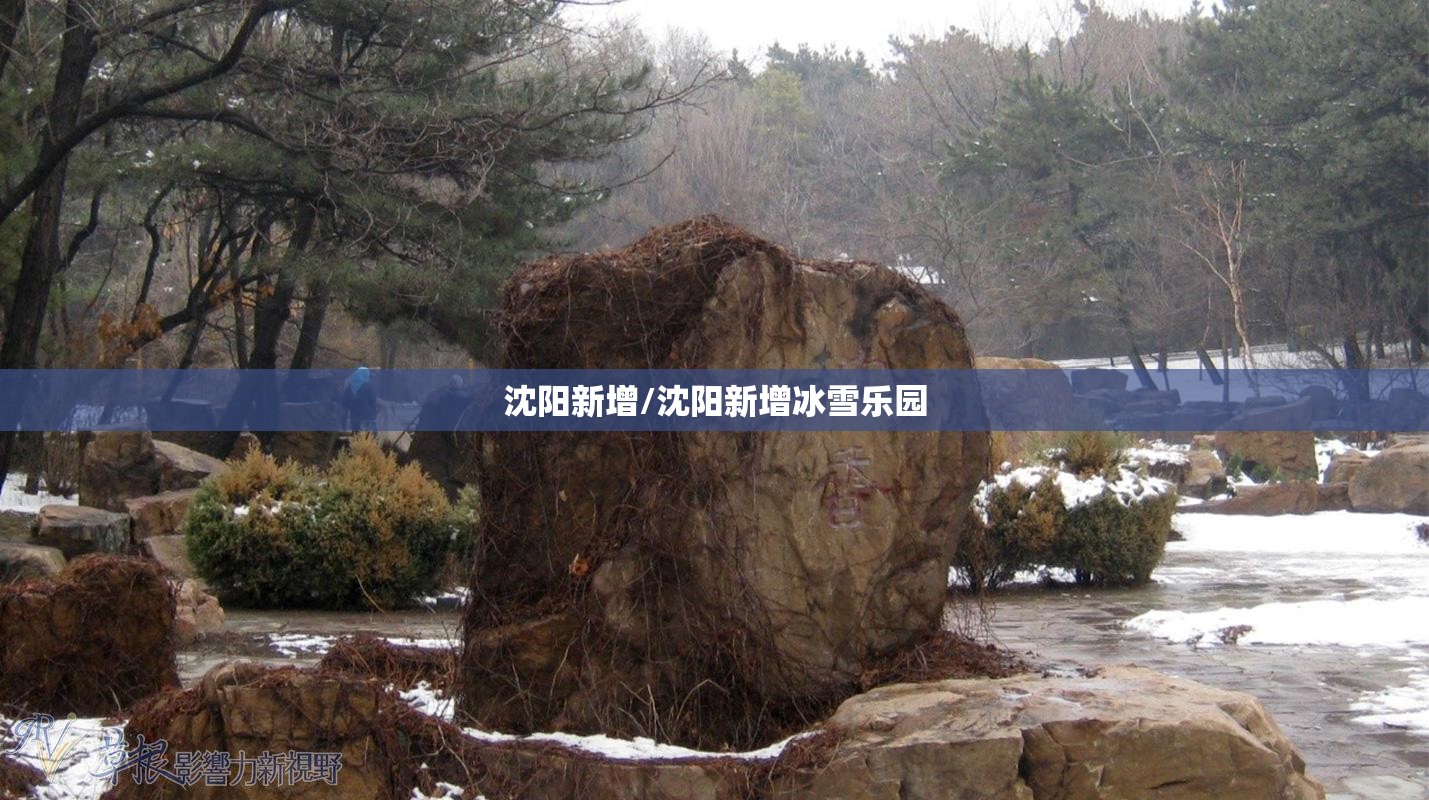 沈阳新增/沈阳新增冰雪乐园