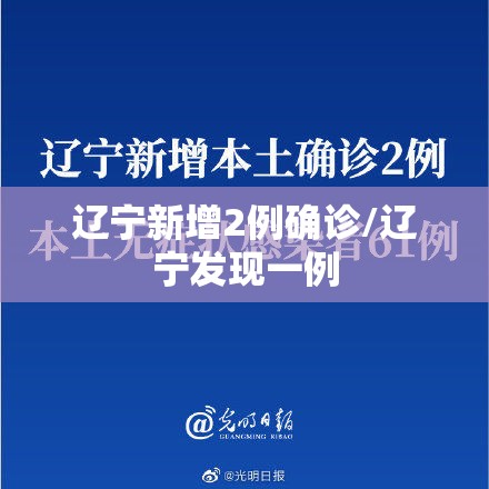 辽宁新增2例确诊/辽宁发现一例