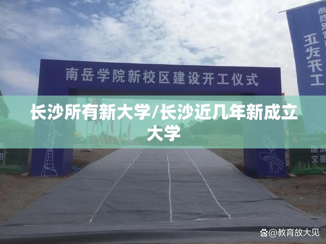 长沙所有新大学/长沙近几年新成立大学