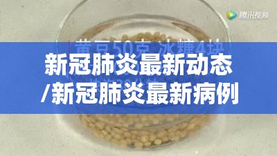 新冠肺炎最新动态/新冠肺炎最新病例 新冠肺炎最新动态/新冠肺炎最新病例