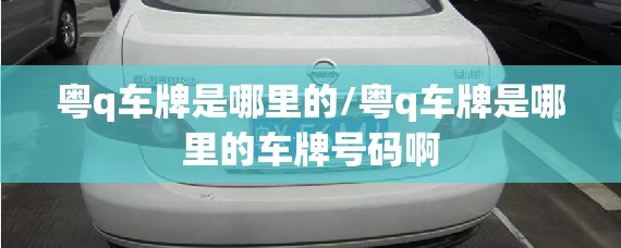 粤q车牌是哪里的/粤q车牌是哪里的车牌号码啊