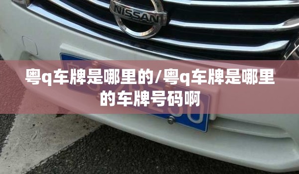 粤q车牌是哪里的/粤q车牌是哪里的车牌号码啊