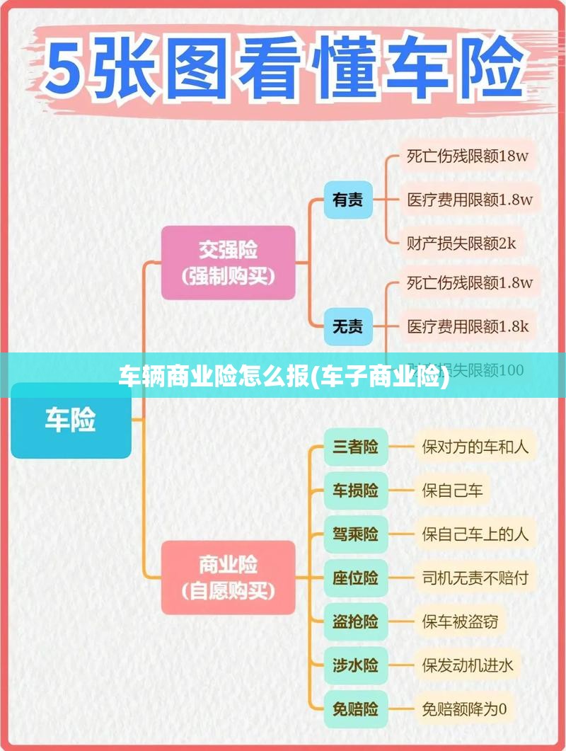 车辆商业险怎么报(车子商业险)