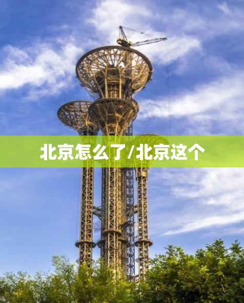北京怎么了/北京这个