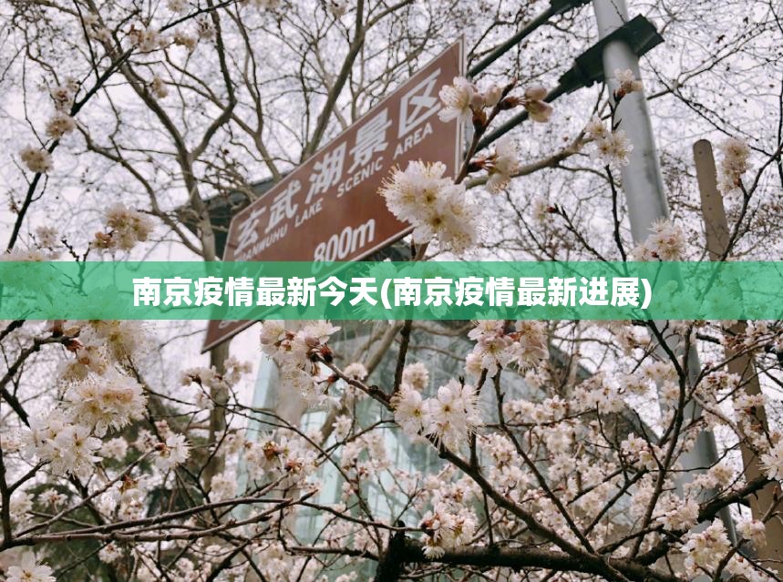南京疫情最新今天(南京疫情最新进展)