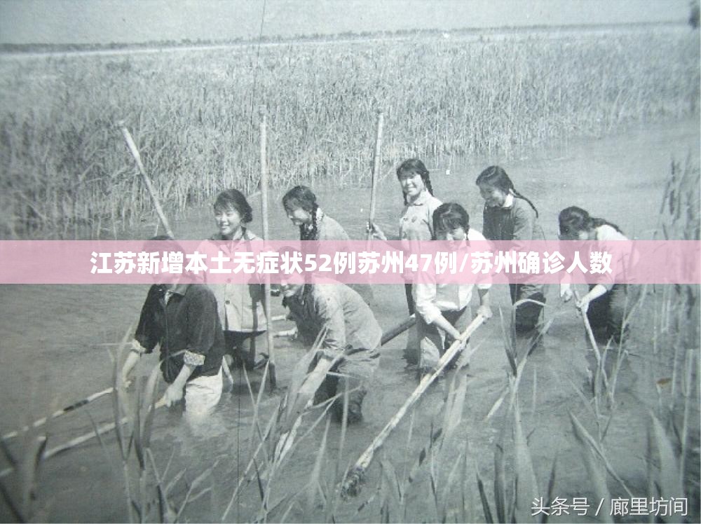江苏新增本土无症状52例苏州47例/苏州确诊人数