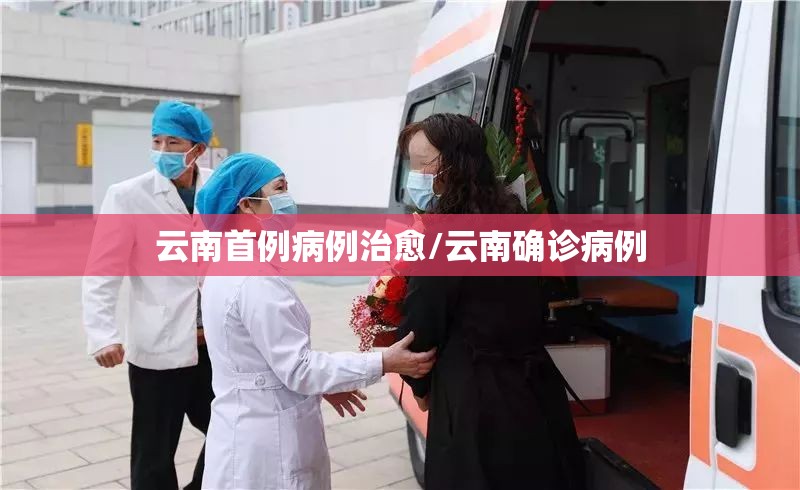 云南首例病例治愈/云南确诊病例