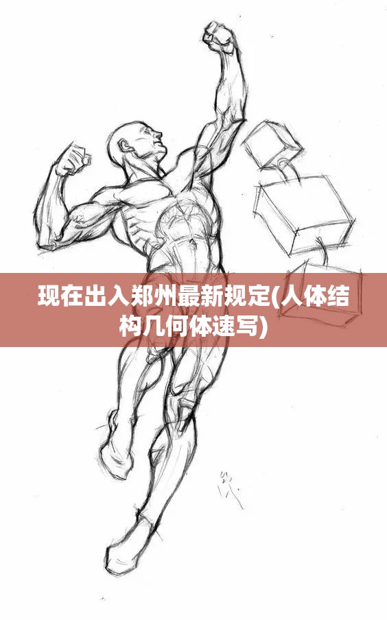 现在出入郑州最新规定(人体结构几何体速写)