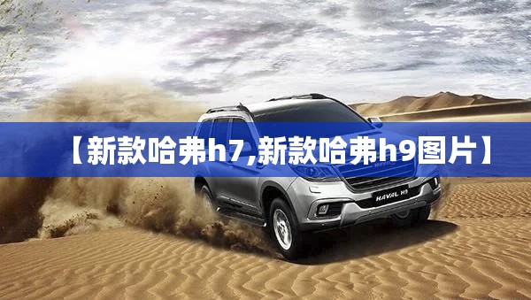 【新款哈弗h7,新款哈弗h9图片】