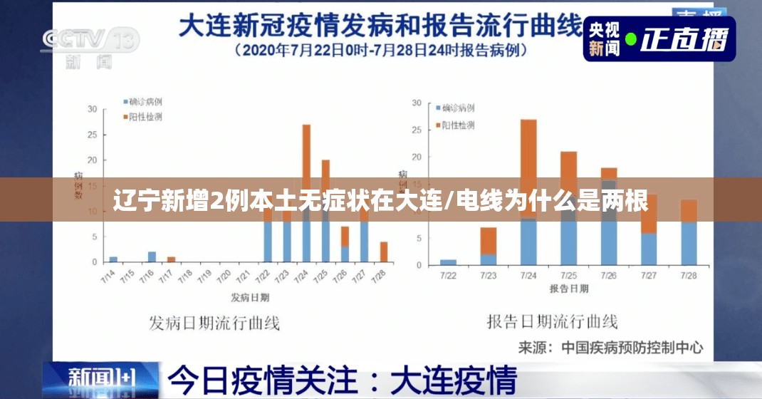 辽宁新增2例本土无症状在大连/电线为什么是两根