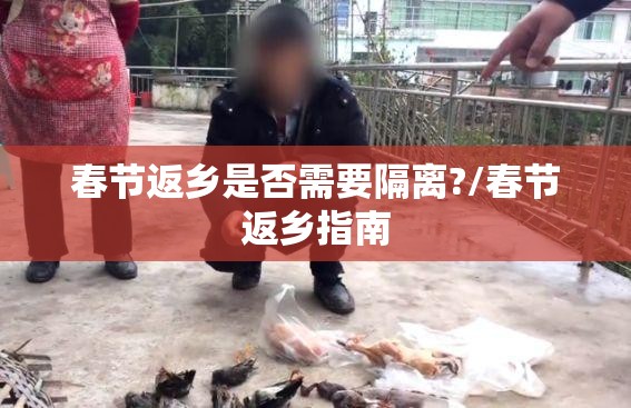 春节返乡是否需要隔离?/春节返乡指南