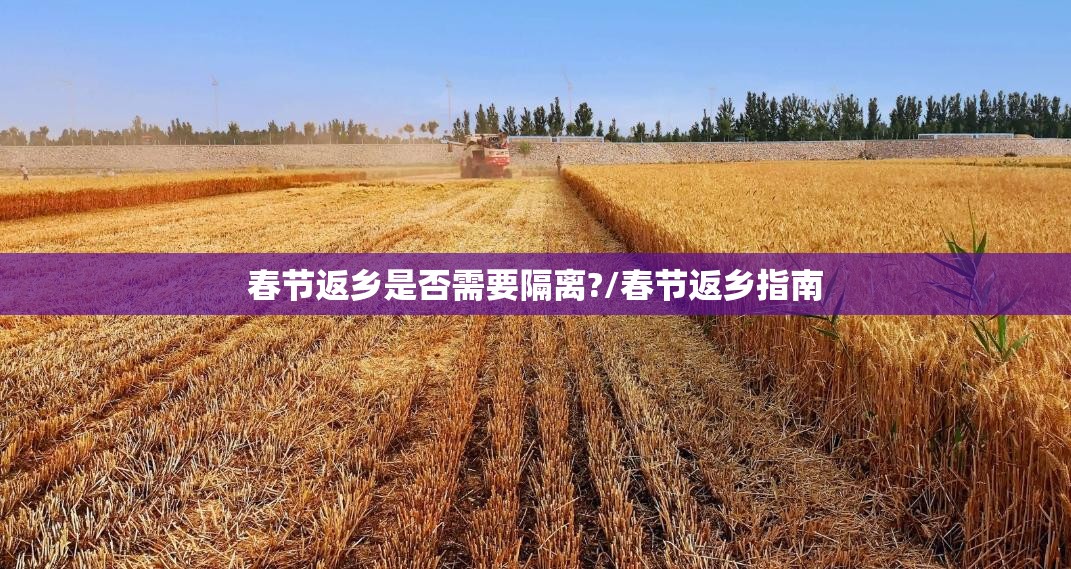 春节返乡是否需要隔离?/春节返乡指南
