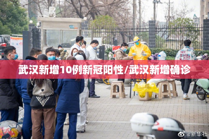 武汉新增10例新冠阳性/武汉新增确诊