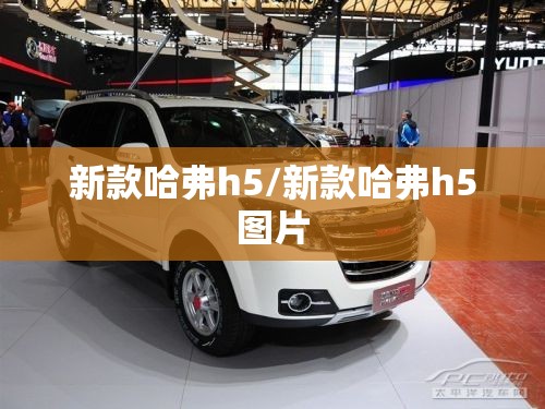 新款哈弗h5/新款哈弗h5图片