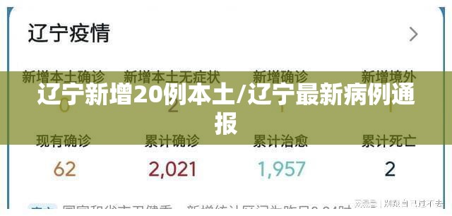 辽宁新增20例本土/辽宁最新病例通报