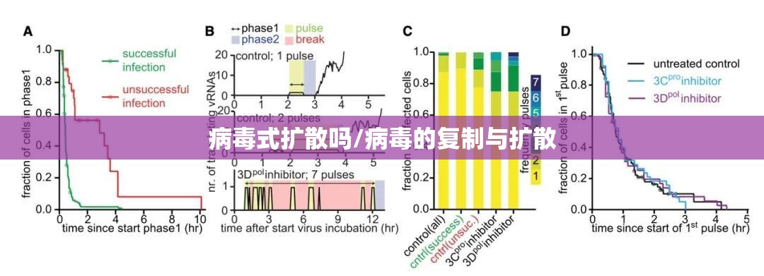 病毒式扩散吗/病毒的复制与扩散