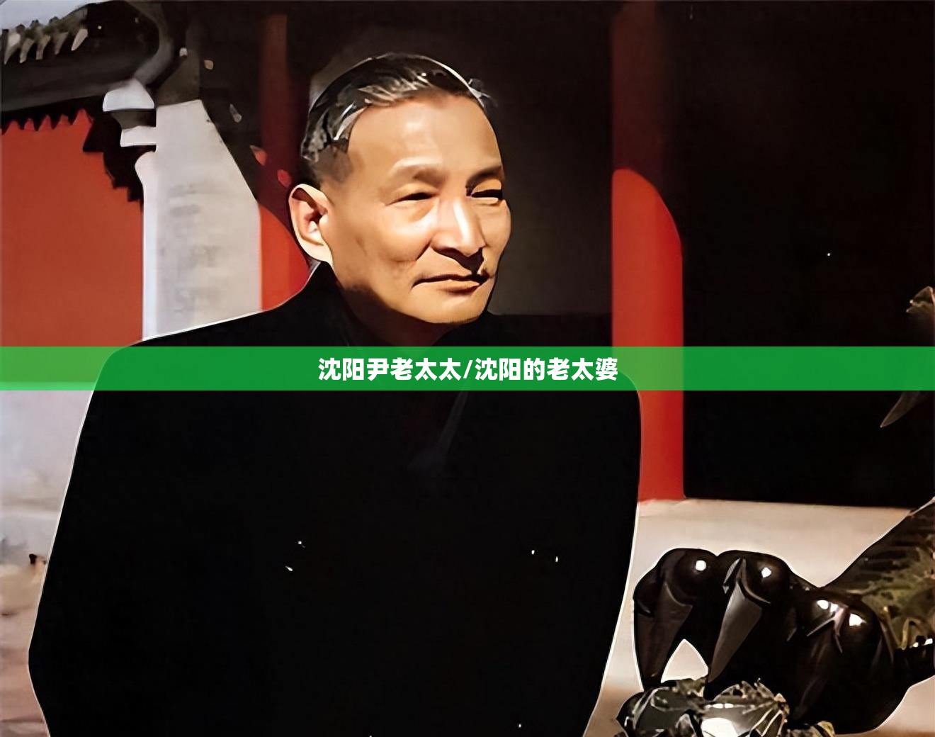 沈阳尹老太太/沈阳的老太婆 沈阳尹老太太/沈阳的老太婆