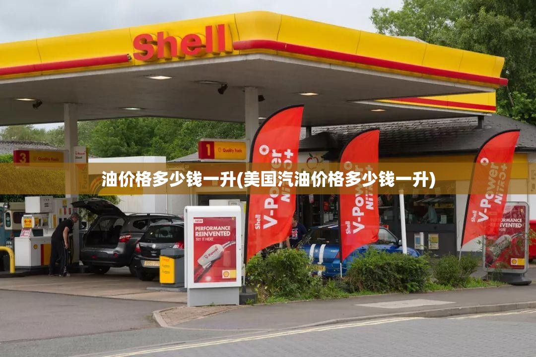 油价格多少钱一升(美国汽油价格多少钱一升)