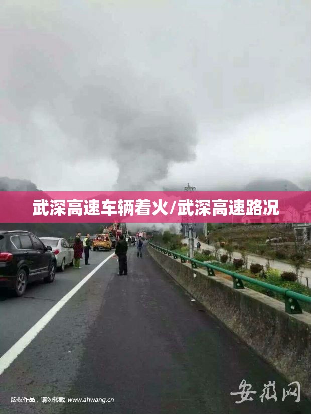 武深高速车辆着火/武深高速路况 武深高速车辆着火/武深高速路况