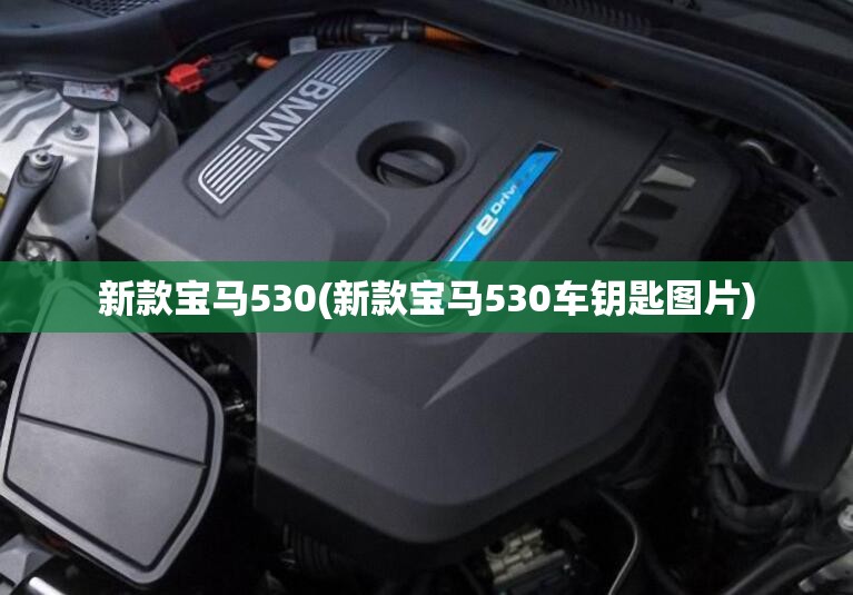 新款宝马530(新款宝马530车钥匙图片) 新款宝马530(新款宝马530车钥匙图片)