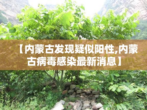 【内蒙古发现疑似阳性,内蒙古病毒感染最新消息】