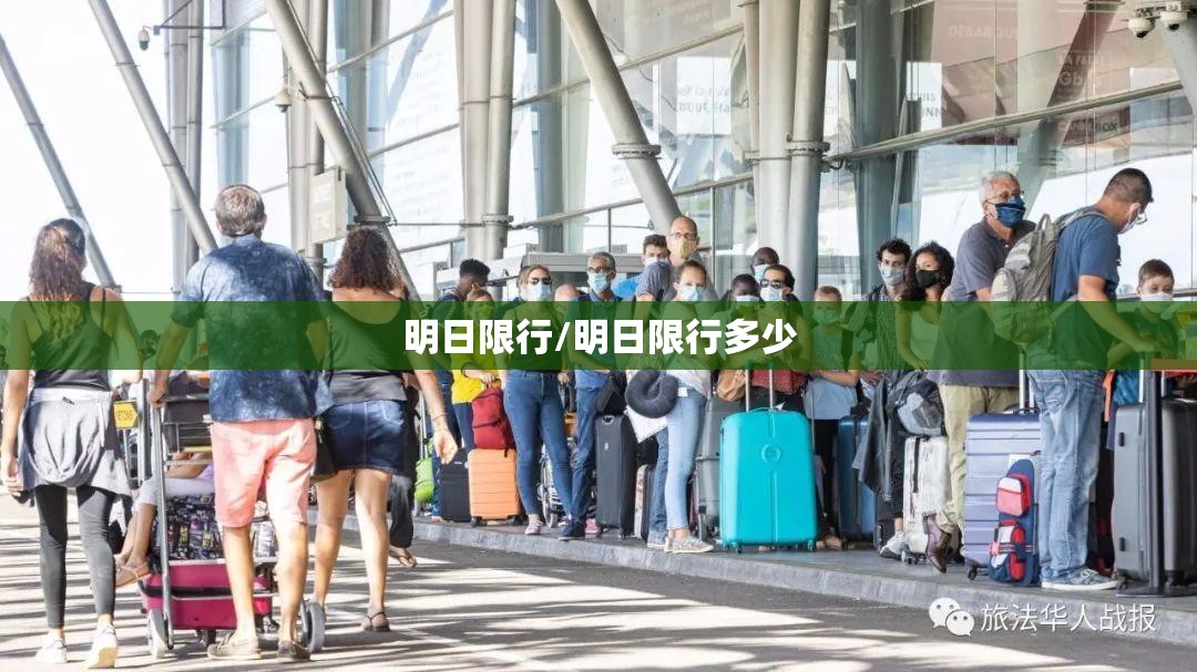 明日限行/明日限行多少