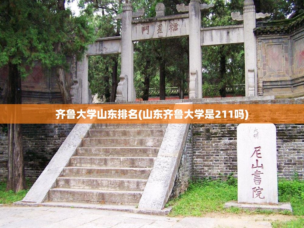 齐鲁大学山东排名(山东齐鲁大学是211吗)