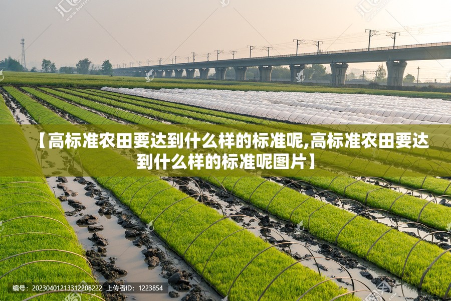 【高标准农田要达到什么样的标准呢,高标准农田要达到什么样的标准呢图片】 【高标准农田要达到什么样的标准呢,高标准农田要达到什么样的标准呢图片】