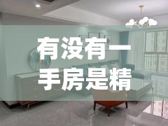 有没有一手房是精装修的(精装修一房一厅) 有没有一手房是精装修的(精装修一房一厅)
