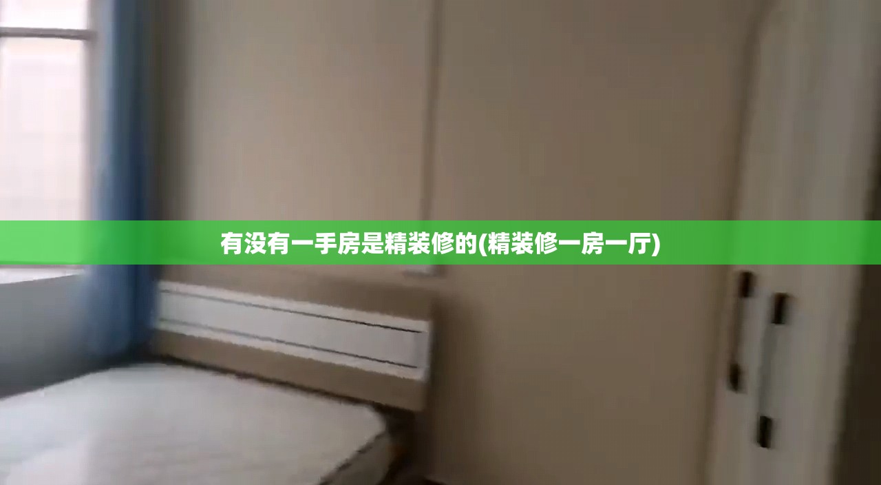 有没有一手房是精装修的(精装修一房一厅) 有没有一手房是精装修的(精装修一房一厅)