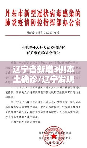 辽宁省新增3例本土确诊/辽宁发现一例