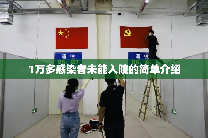 1万多感染者未能入院的简单介绍