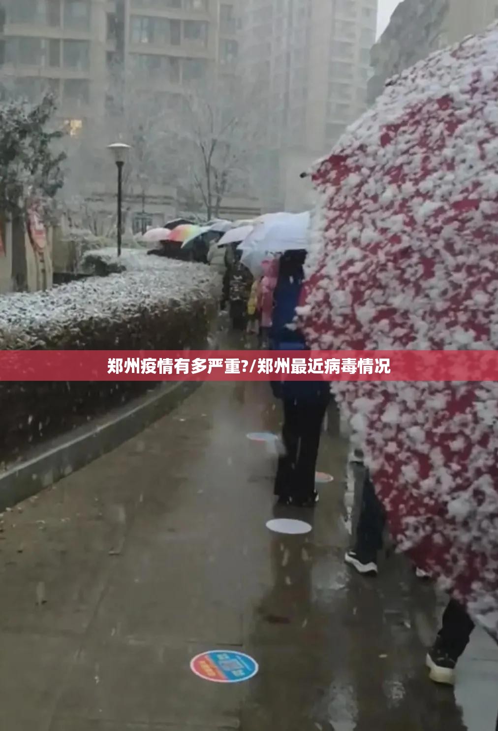 郑州疫情有多严重?/郑州最近病毒情况