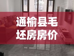 通榆县毛坯房房价/通榆县房子