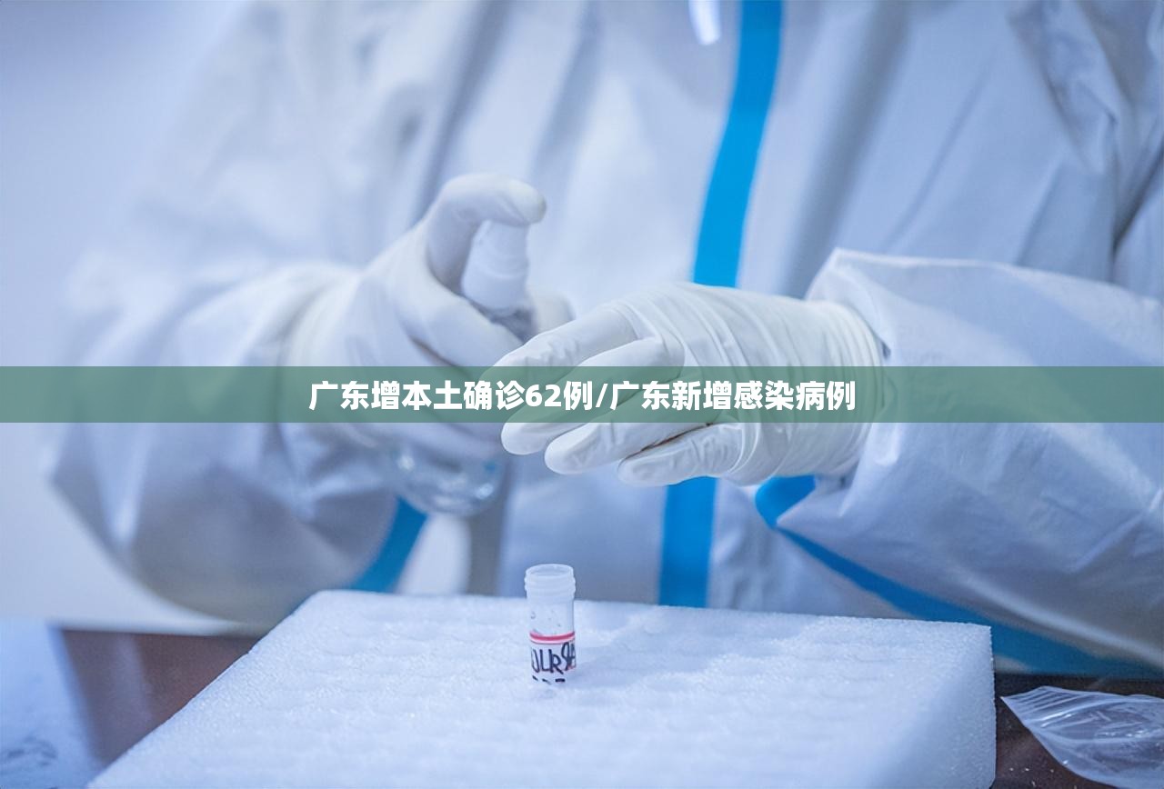 广东增本土确诊62例/广东新增感染病例