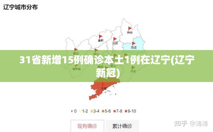 31省新增15例确诊本土1例在辽宁(辽宁 新冠)