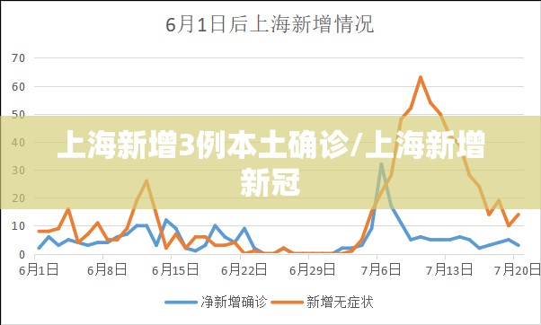 上海新增3例本土确诊/上海新增新冠