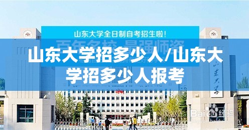 山东大学招多少人/山东大学招多少人报考