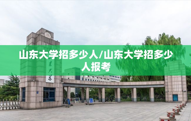 山东大学招多少人/山东大学招多少人报考