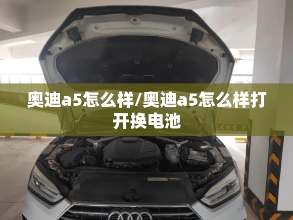 奥迪a5怎么样/奥迪a5怎么样打开换电池