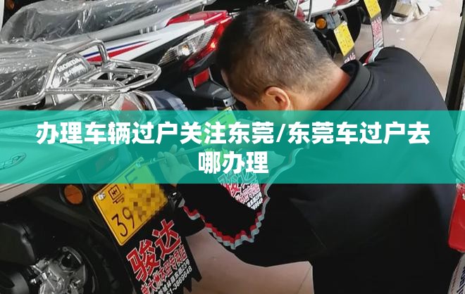 办理车辆过户关注东莞/东莞车过户去哪办理