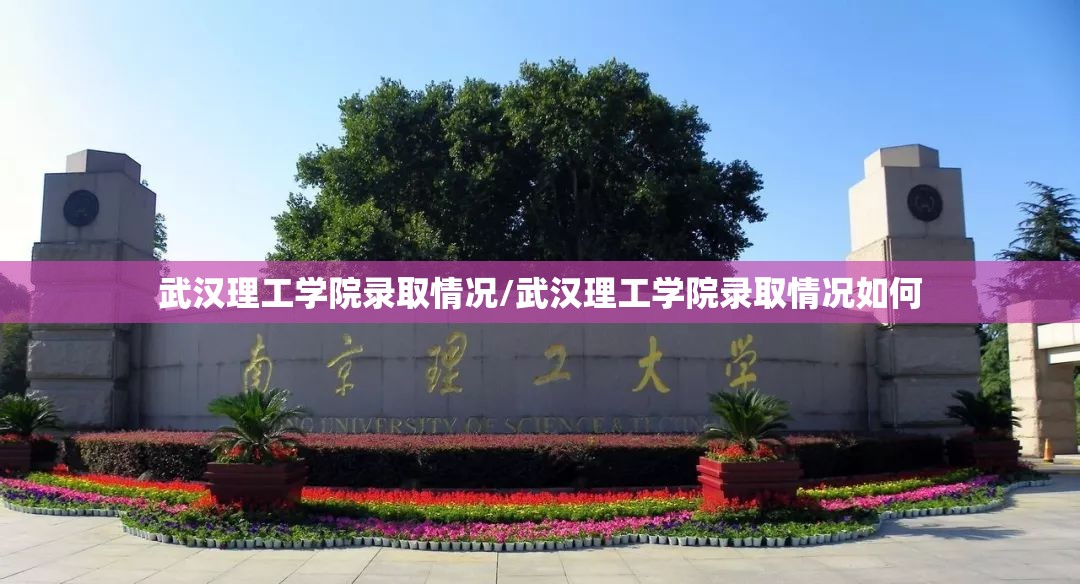 武汉理工学院录取情况/武汉理工学院录取情况如何
