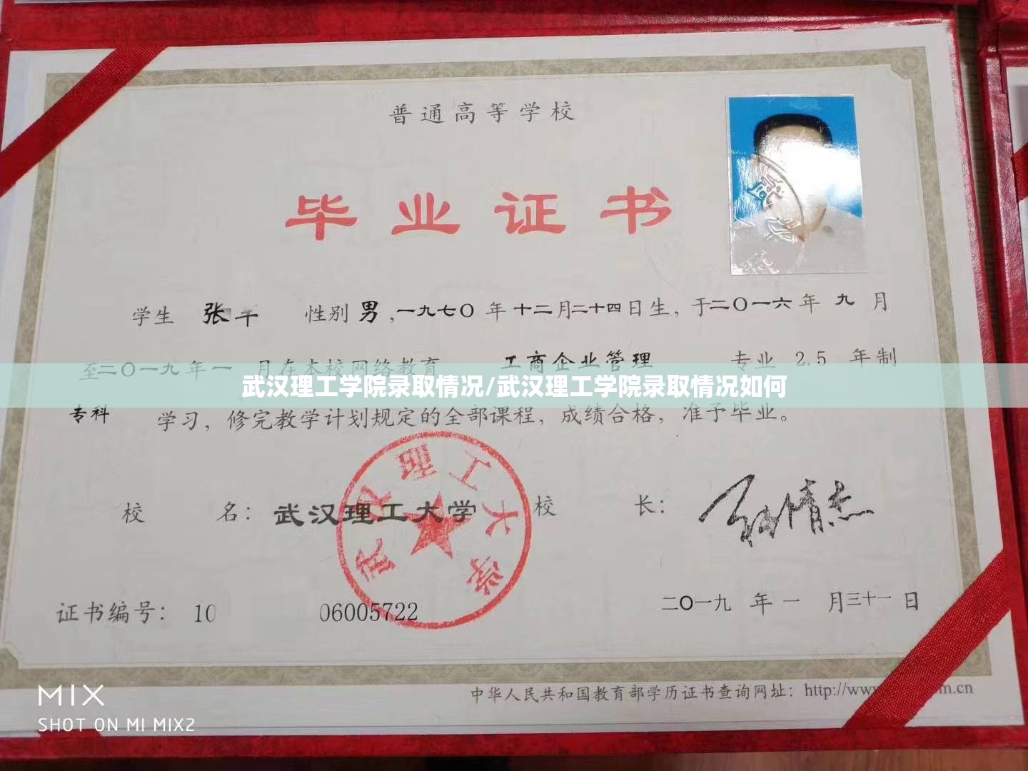 武汉理工学院录取情况/武汉理工学院录取情况如何