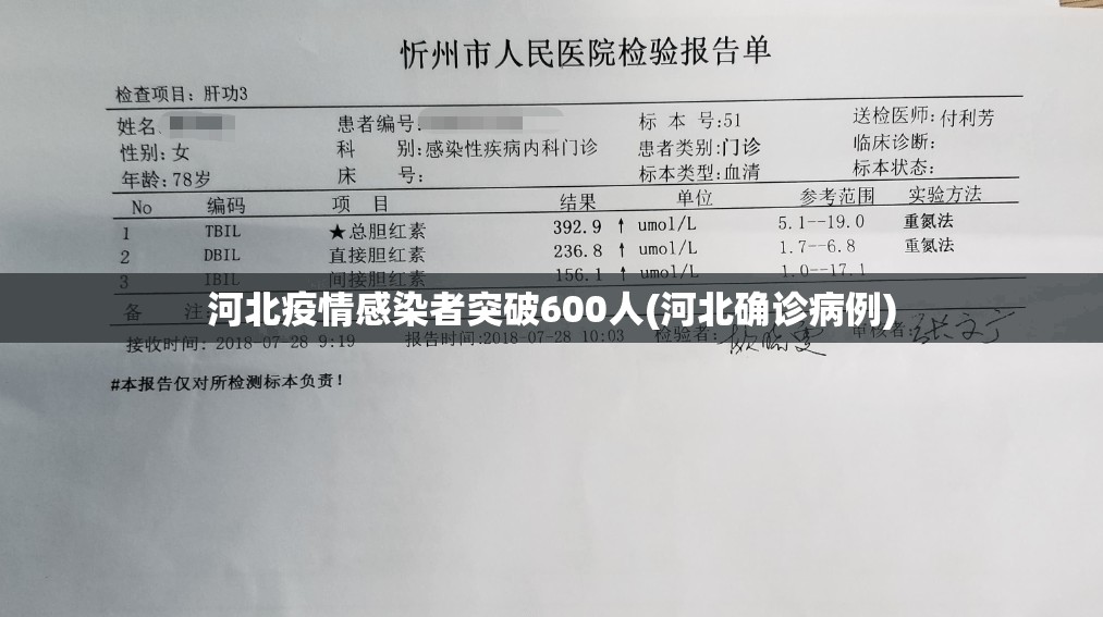 河北疫情感染者突破600人(河北确诊病例) 河北疫情感染者突破600人(河北确诊病例)
