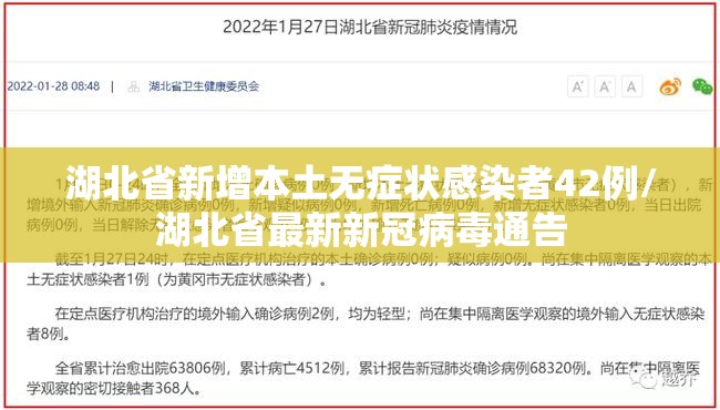 湖北省新增本土无症状感染者42例/湖北省最新新冠病毒通告