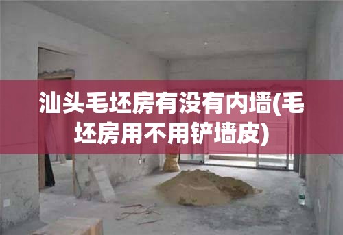 汕头毛坯房有没有内墙(毛坯房用不用铲墙皮)